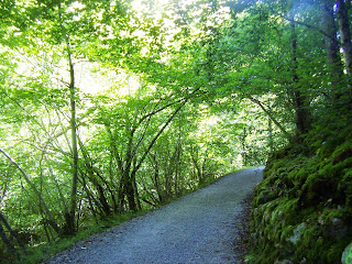 Sobrescobio, Ruta del Alba, sendero