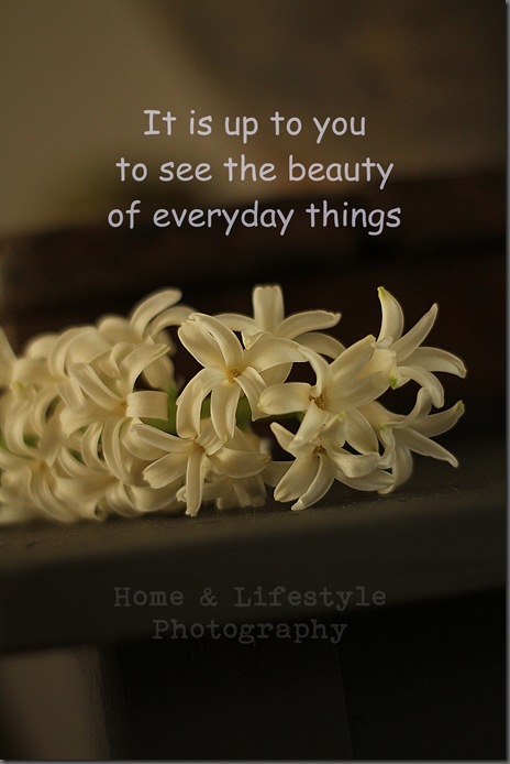 Home & Lifestyle
