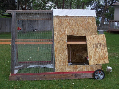 Cheap Chicken Coops