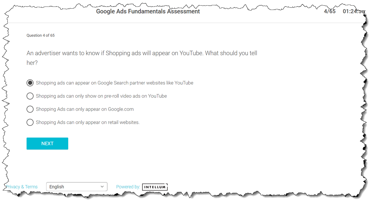 An advertiser wants to know if shopping ads will appear on YouTube. what should you tell her?