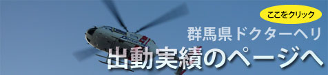 http://www.gunma-redcross-icuqq.com/dr-heri/content05.html