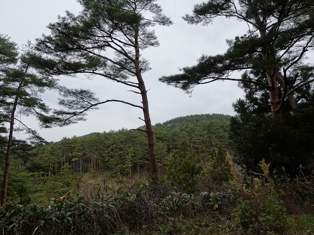 赤松池の脇道からの眺望