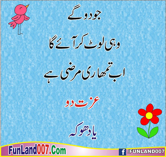 Sad bird urdu jokes 2016