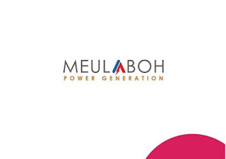 PT Power Meulaboh Generation (PT MPG)