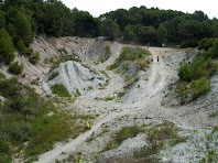 Panoràmica de la zona de margues blavoses