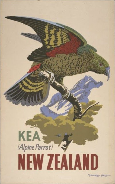 Vintage Bird Posters