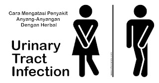 obat herbal anyang-anyangan, urinery tract infection