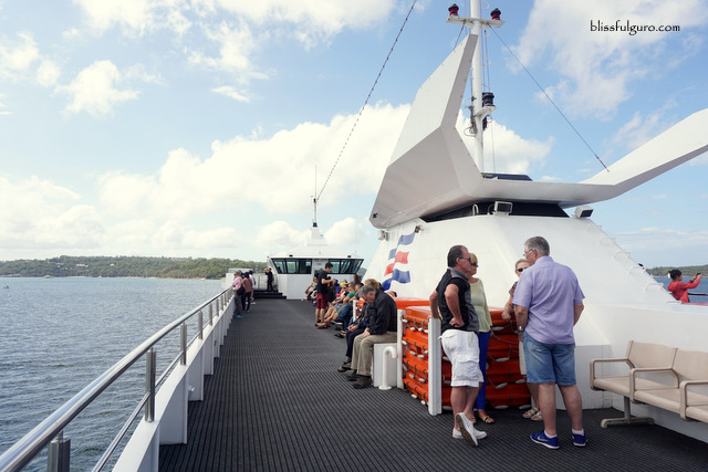 Sydney Harbour Cruise Review