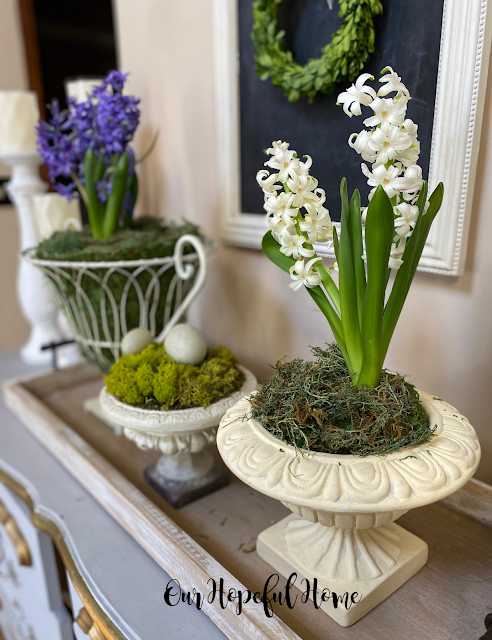 purple hyacinth white hyacinth wire garden urn ceramic urn foyer display