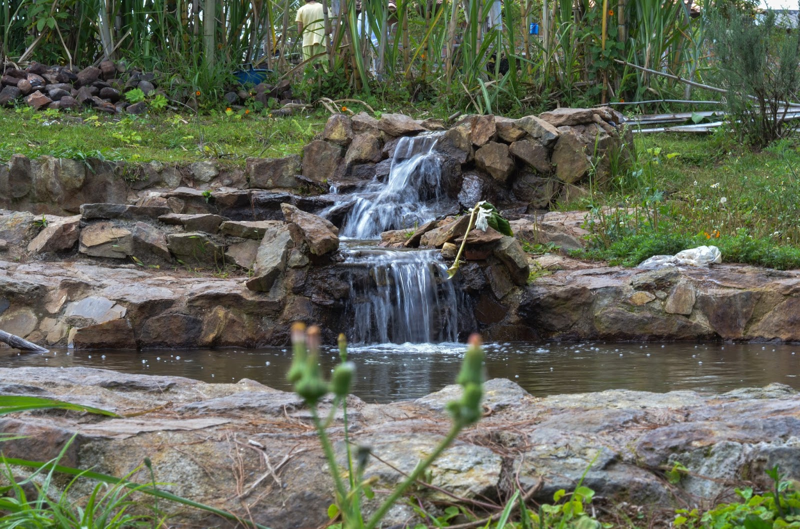 naturaleza, yoga, park,tranquilidad, om, conexión,relajación,compartir,ecología,puro,tierra