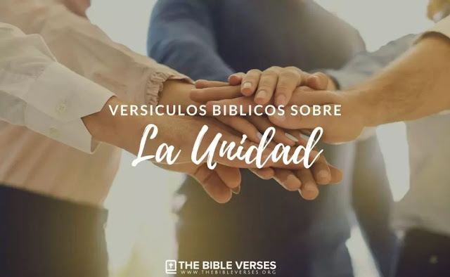 20 Versículos de la Biblia sobre la Unidad