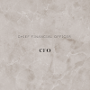 Definition of Chief Financial Officer (CFO) 
