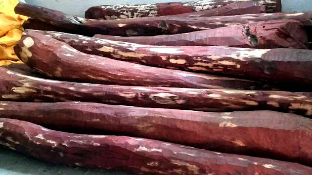jenis kayu termahal di dunia