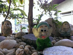 WP_20121130_078
