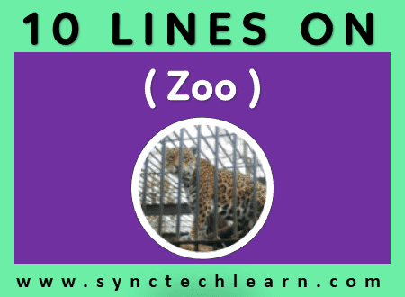 short essay on zoo