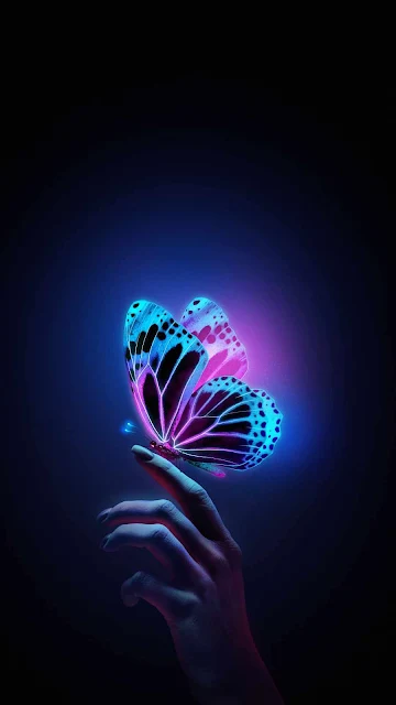 Bioluminescent Butterfly Wallpaper, Hd Wallpapers, Phone Backgrounds, iPhone Wallpapers