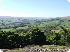 weardale from crawleyside
