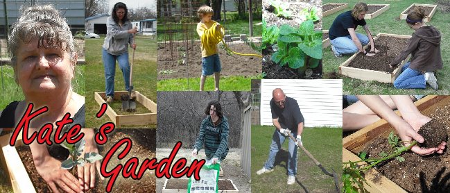 Kate's Garden