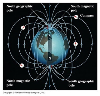 garis gaya magnetik bumi di sekitar bumi 