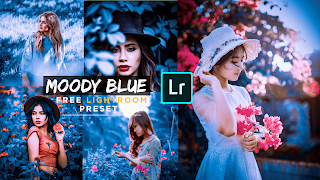 MOODY BLUE - Lightroom Editing Tutorial 2020 - Lightroom Preset Free Download | POROS EDITZ