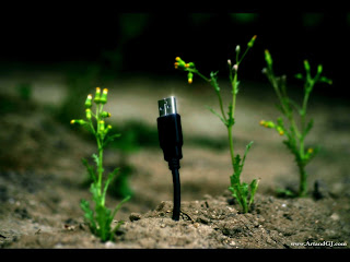 USB Plant Wallpapers