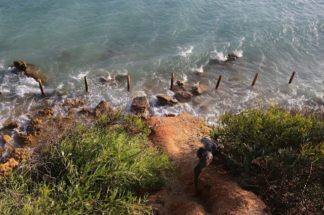 Vista del mar y las rocas desde un acantilado con vegetación.