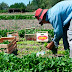 GUÍA FRUTIHORTÍCOLA CHACO 2020: CONVOCAN A PRODUCTORES A REGISTRARSE