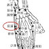 頸椎病痛的按摩穴道