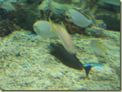 FILE0141