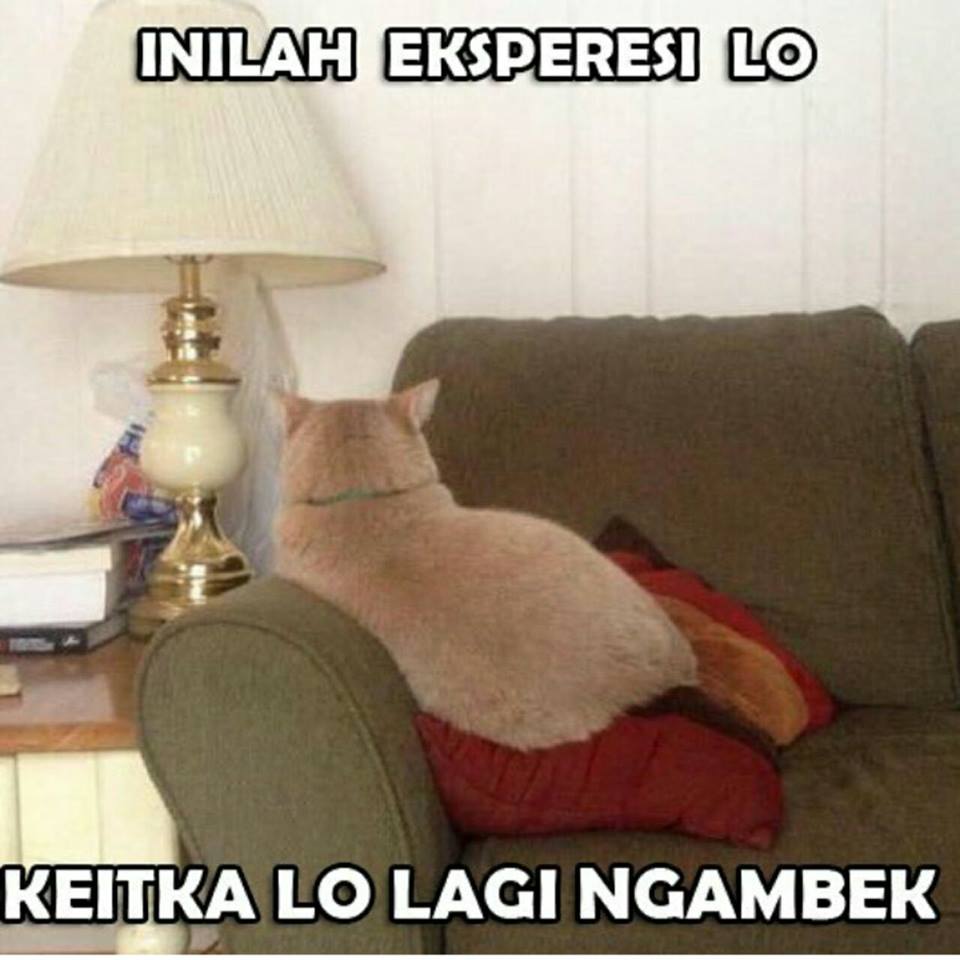 Kumpulan Gambar Humor Lucu Bikin Ngakak Gambar Gokil