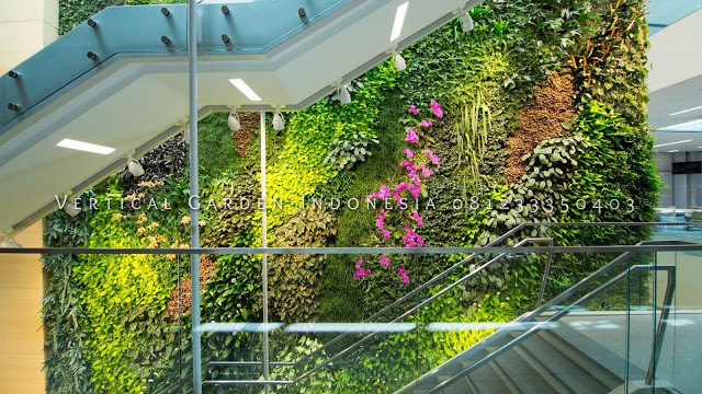 Tukang Taman Vertical Garden Di Bogor Murah Dan Bergaransi Jasa Pembuatan Vertical Garden Terbaik Dan Terpercaya Di Bogor, Jawa Barat, Jakarta Barat, Jakarta Utara, Jakarta Timur, Jakarta Selatan, Jakarta Pusat, Bekasi, Tangerang, Depok JBODETABEK,