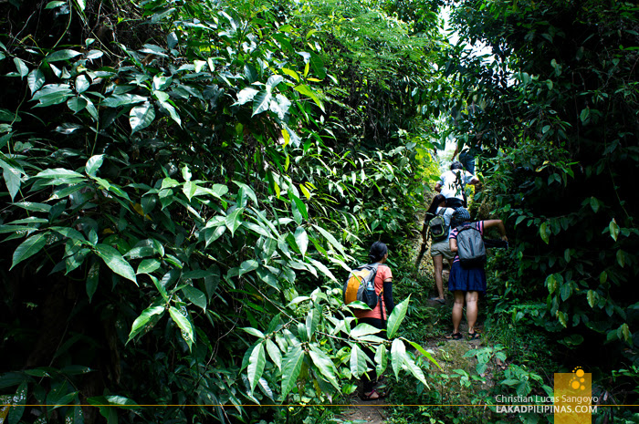 The Hike to Dalipuga Falls in Iligan City