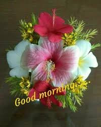 Good Morning All Wishs. 