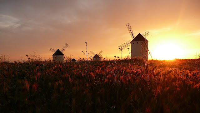Windmills at Sunset HD Wallpaper