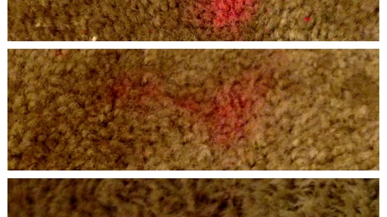 Cleaning Wax Off Carpet