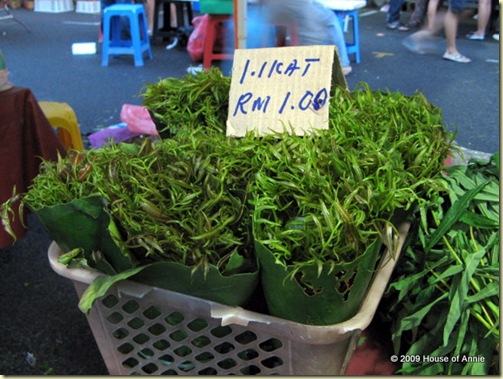  Midin – Another Type of Fiddlehead Fern
