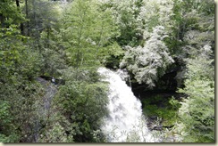 DSCF2870