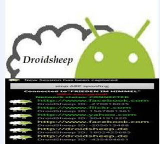 How to use  DroidSheep. what is Droidsheep?