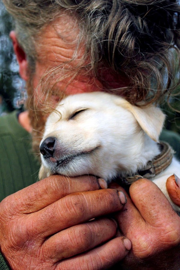 Xúc động với loạt ảnh "chó hạnh phúc bên chủ vô gia cư" chạm tới trái tim nhiều người