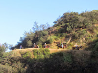 Equestrians on the trail on the north flank of Mt. Bell, Griffith Park