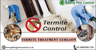 Termite Treatment Gurgaon