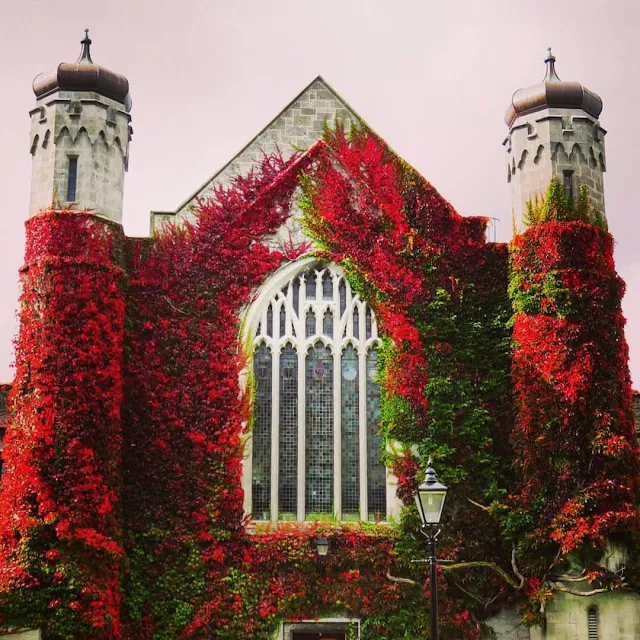 Building on the NUI Galway Campus in red foliage