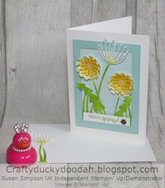 Craftyduckydoodah, Stampin' Up, Garden Wishes Dandy Wishes Dies, Stampers Showcase,