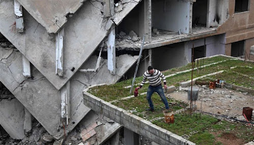 Un hombre comienza a cultivar un huerto entre las ruinas en Damasco. Foto: Amer Almohibany – AFP