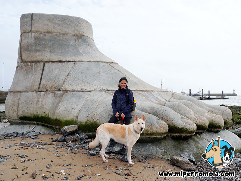 Saint-Nazaire con Perros - Le pied le pull-over le systeme digestif