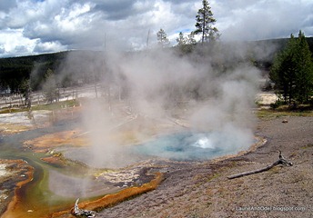 Bubbling pool along Firehold Lake Drive