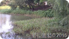 20151013_150024