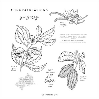 Lovely and sweet stampin up simple one layer card