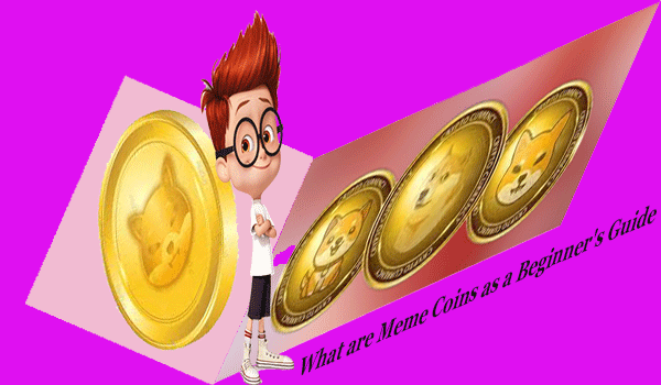 meme coins as a guide for beginners in 2023