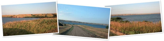 View album
